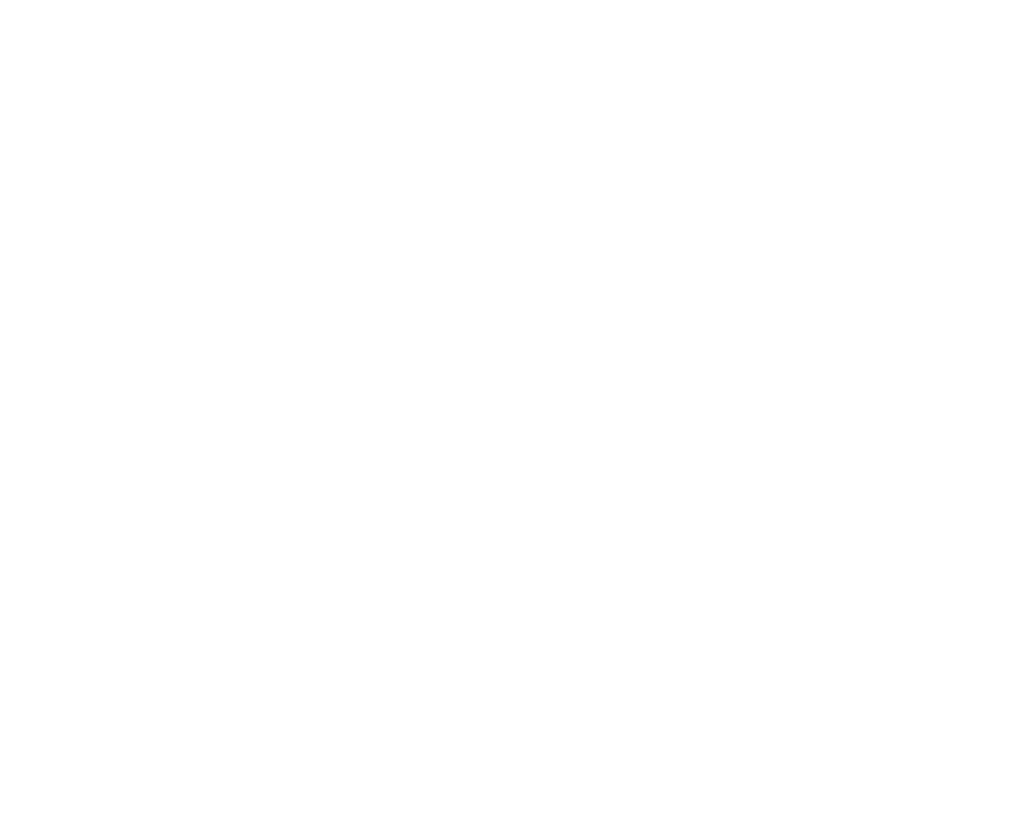 Wave-A-Flag Foundation
